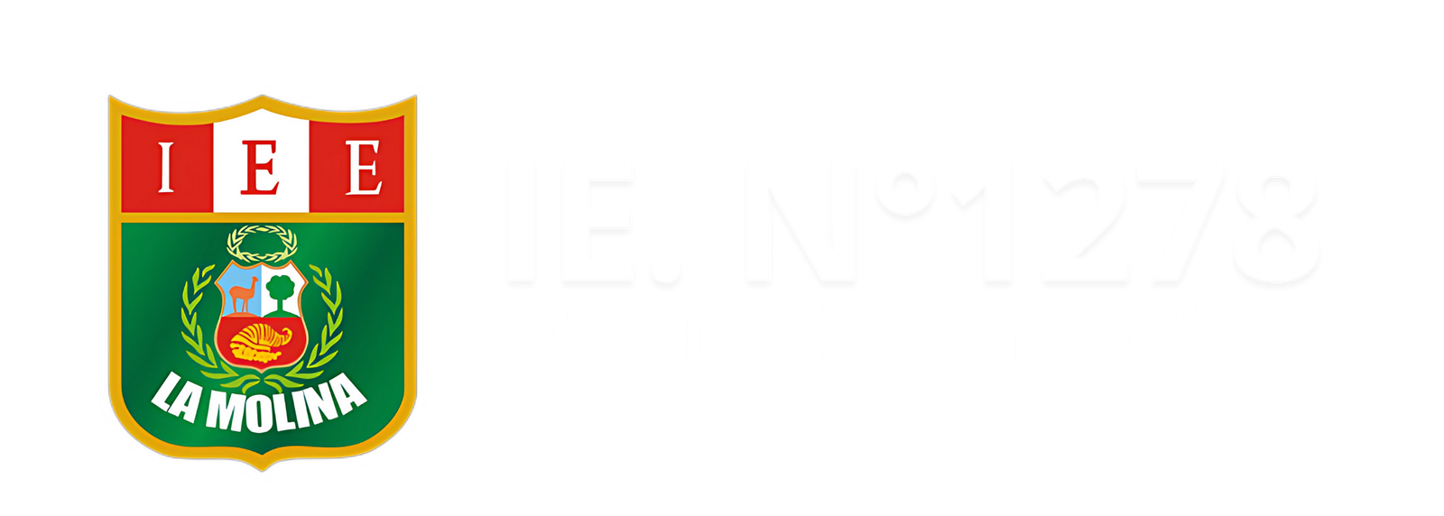 MIXTO LA MOLINA